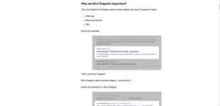 Everything About Google Rich Snippets 2024 - TemplateTrip