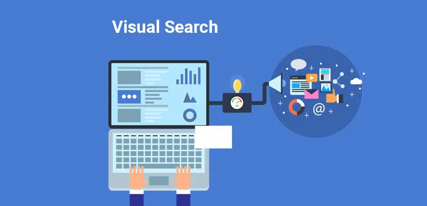 Visual Search