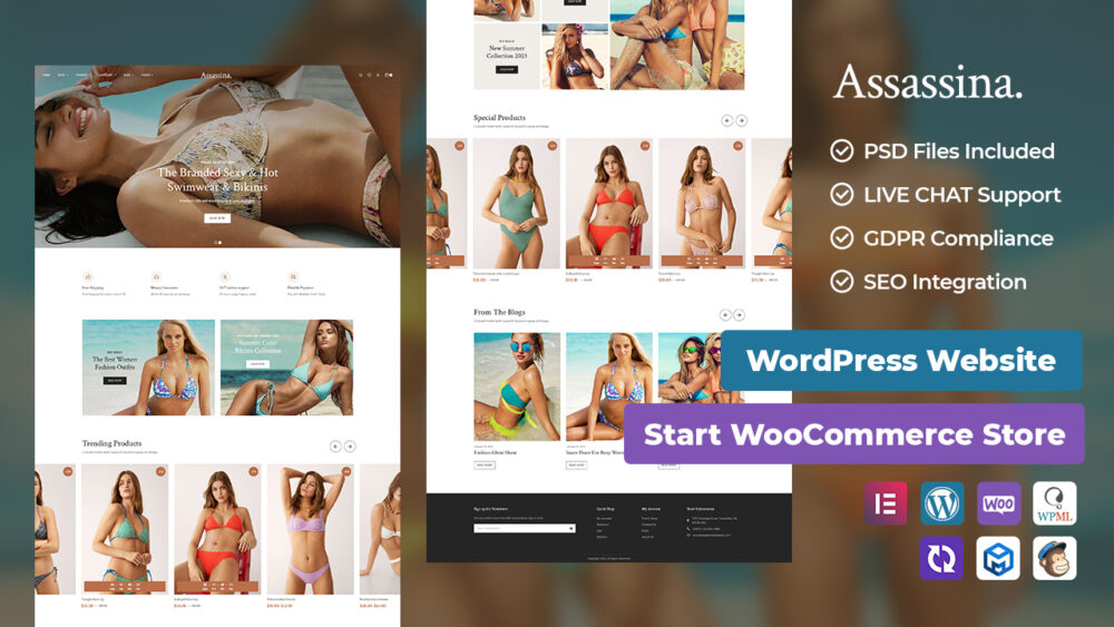 Assassina Best WooCommerce Themes